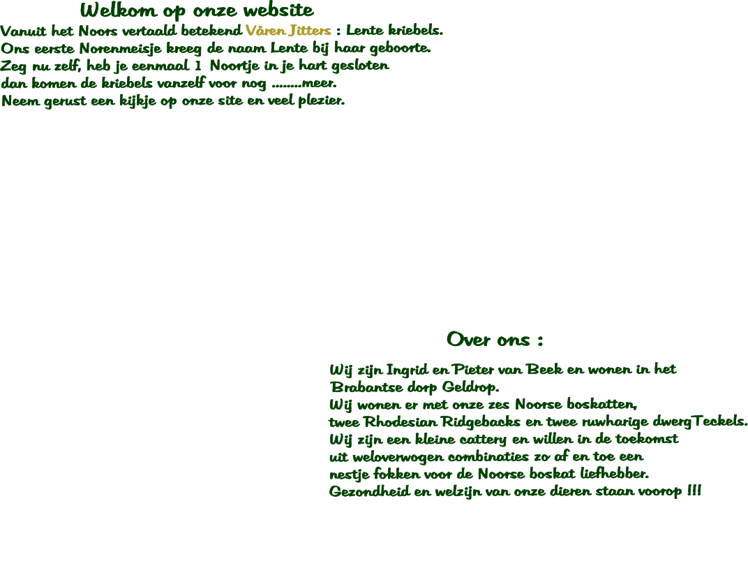 Welkom op onze website                                  Vanuit het Noors vertaald betekend V�ren Jitters : Lente kriebels. Ons eerste Norenmeisje kreeg de naam Lente bij haar geboorte. Zeg nu zelf, heb je eenmaal 1 Noortje in je hart gesloten 	 dan komen de kriebels vanzelf voor nog ........meer. Neem gerust een kijkje op onze site en veel plezier.                                                                                                                      Over ons :  						   Wij zijn Ingrid en Pieter van Beek en wonen in het                                  Brabantse dorp Geldrop.   Wij wonen er met onze zes Noorse boskatten,    twee Rhodesian Ridgebacks en twee ruwharige dwergTeckels.   Wij zijn een kleine cattery en willen in de toekomst    uit weloverwogen combinaties zo af en toe een   nestje fokken voor de Noorse boskat liefhebber.   Gezondheid en welzijn van onze dieren staan voorop !!!