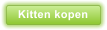 Kitten kopen