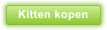 Kitten kopen